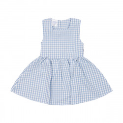 Blue Checkered Dress